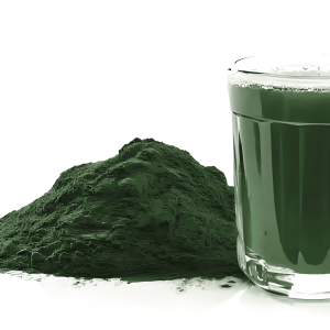 Chlorella powder