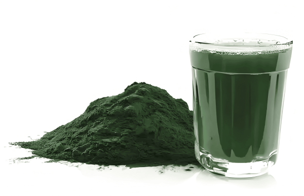 Chlorella powder